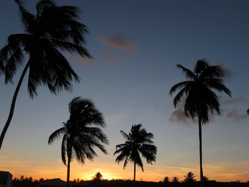 Coachella 2014 #love