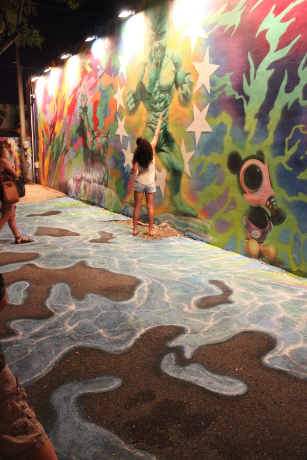 Wynwood Wall Art Miami  photo by JMarcio Batista