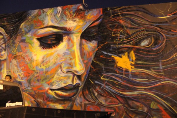 Wynwood Wall Art Miami  photo by JMarcio Batista