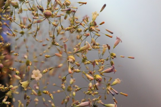 Art by Hiroshi Shinno at Yod Gallery | Volta NY 2015 photo by Mairanny Batista