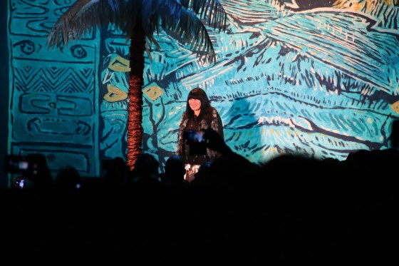 Anna Sui Spring/Summer 2016 Photo by Mairanny Batista